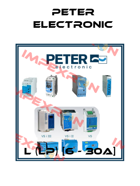 L (LP) [6 - 30A] Peter Electronic