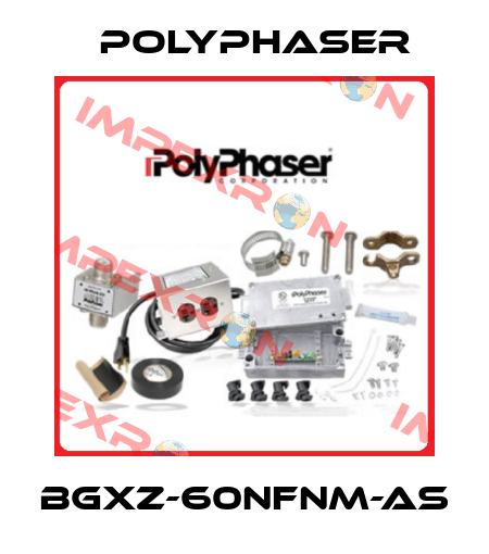 BGXZ-60NFNM-AS Polyphaser