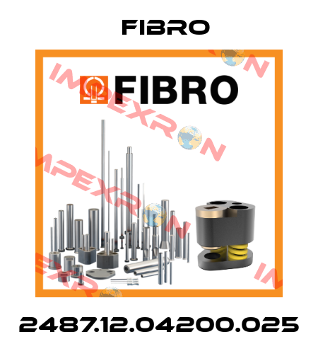 2487.12.04200.025 Fibro