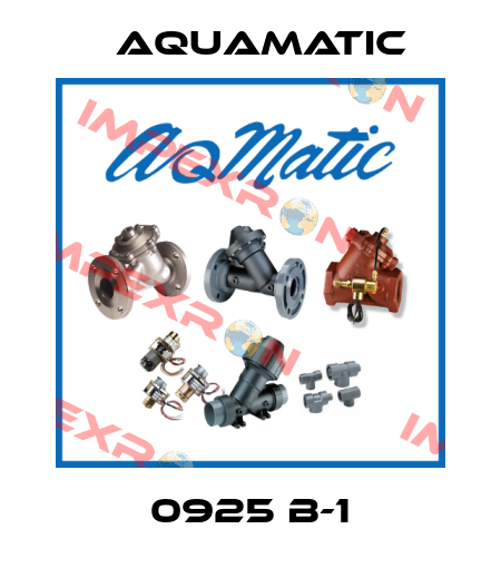 0925 B-1 AquaMatic