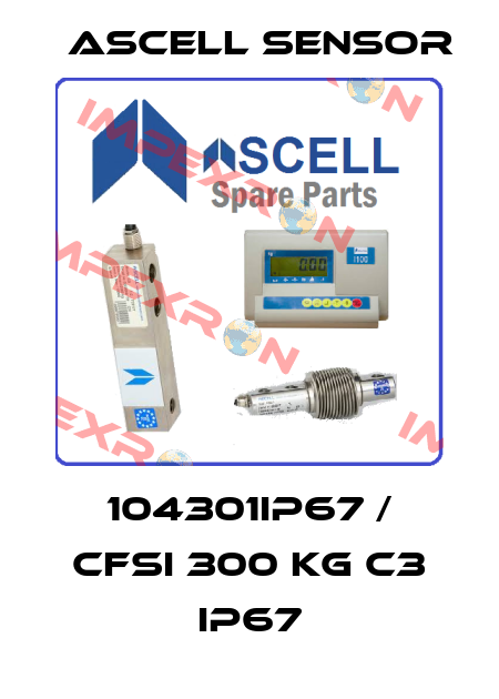 104301IP67 / CFSI 300 kg C3 IP67 Ascell Sensor