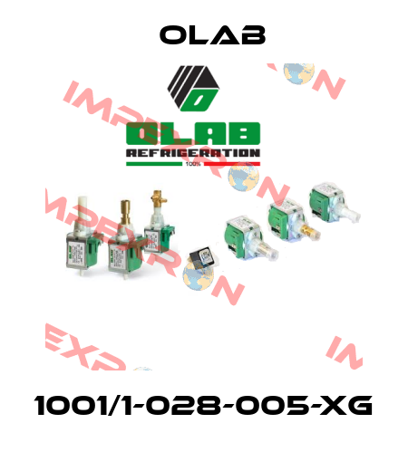 1001/1-028-005-XG Olab