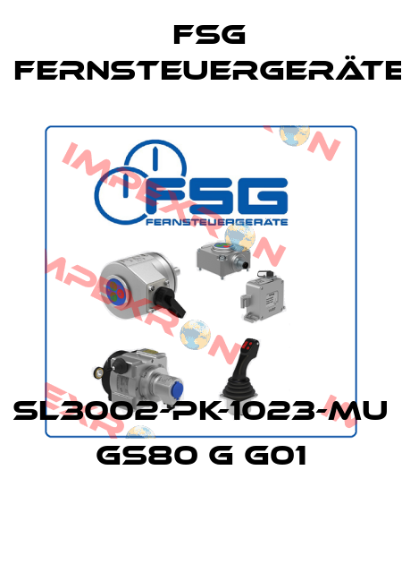 SL3002-PK-1023-MU GS80 G G01 FSG Fernsteuergeräte