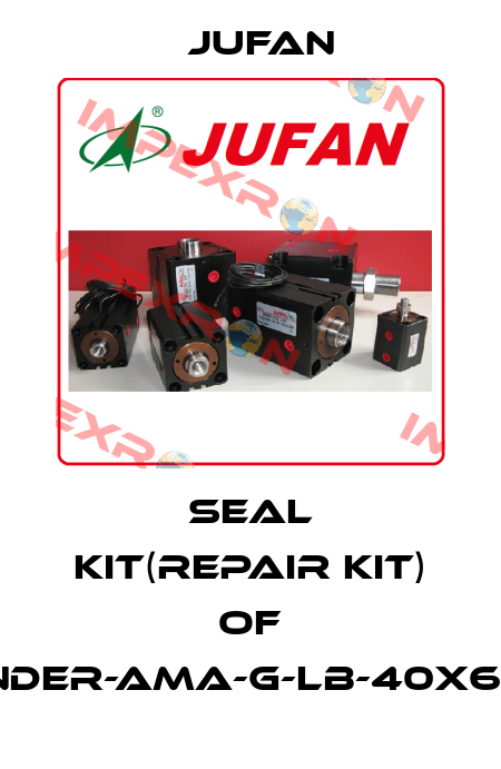 seal kit(repair kit) of cylinder-AMA-G-LB-40x650ST Jufan
