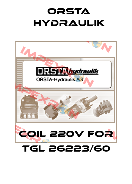 Coil 220V for TGL 26223/60 Orsta Hydraulik