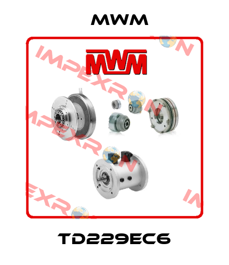 TD229EC6 MWM