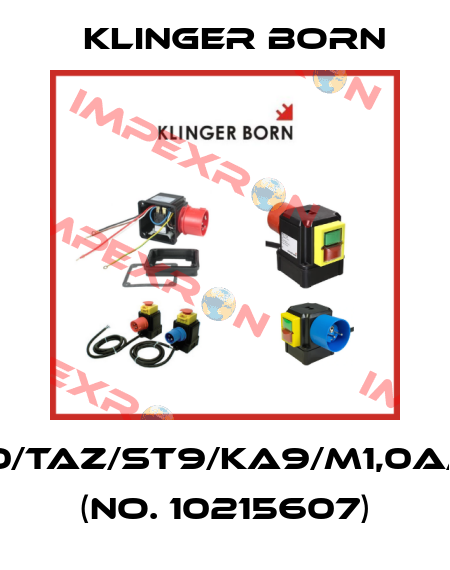 K900/TAZ/ST9/KA9/M1,0A/KI-PI (No. 10215607) Klinger Born