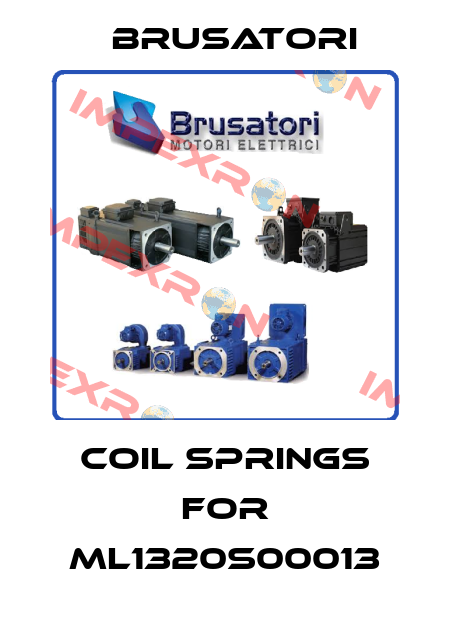 coil springs for ML1320S00013 Brusatori