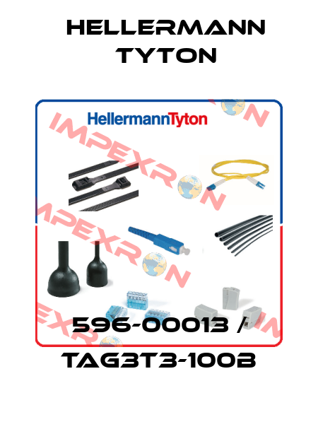 596-00013 / TAG3T3-100B Hellermann Tyton