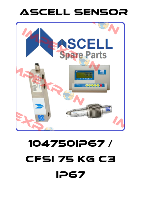 104750IP67 / CFSI 75 kg C3 IP67 Ascell Sensor