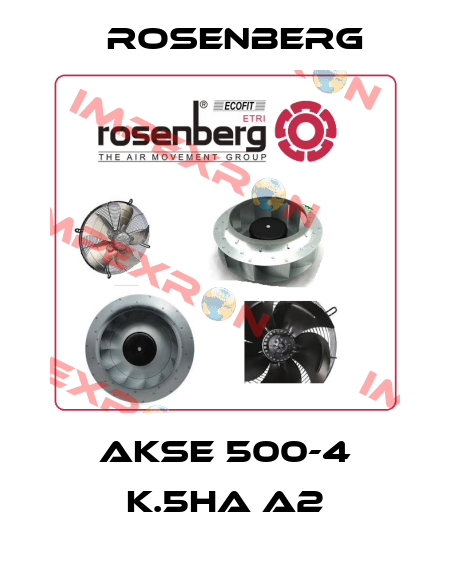 AKSE 500-4 K.5HA A2 Rosenberg