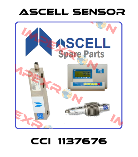 CCI  1137676 Ascell Sensor