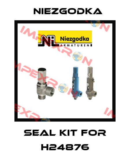 seal kit for H24876 Niezgodka