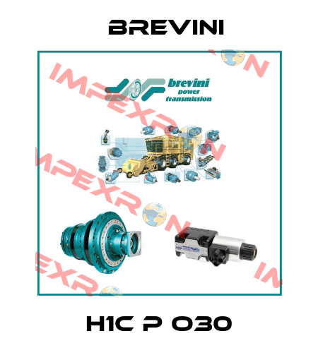 H1C P O30 Brevini