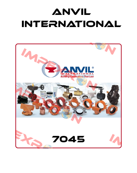 7045 Anvil International