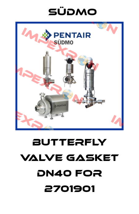 Butterfly valve gasket DN40 for 2701901 Südmo