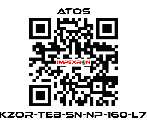 DLKZOR-TEB-SN-NP-160-L71/Q Atos