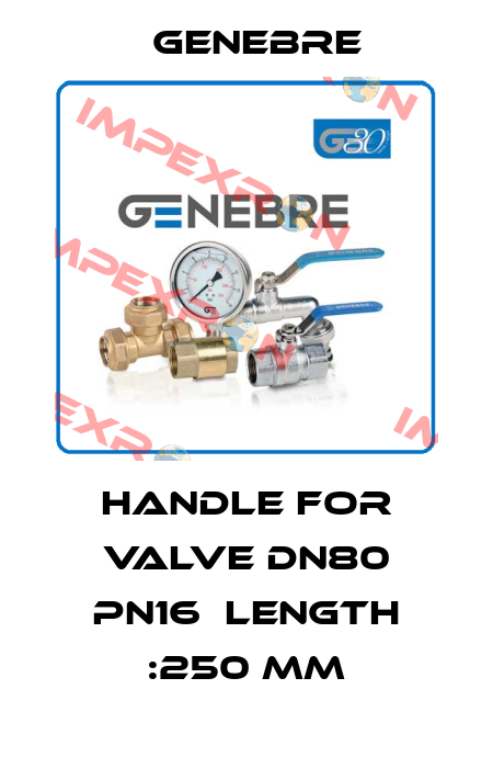 handle for valve DN80 PN16  length :250 mm Genebre