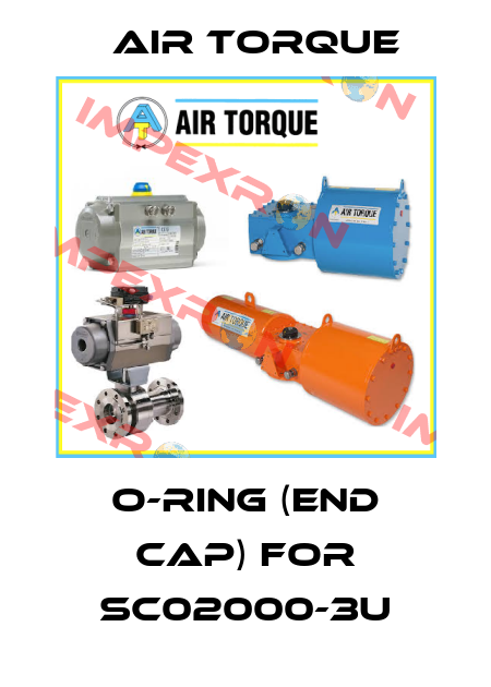 o-ring (end cap) for SC02000-3U Air Torque