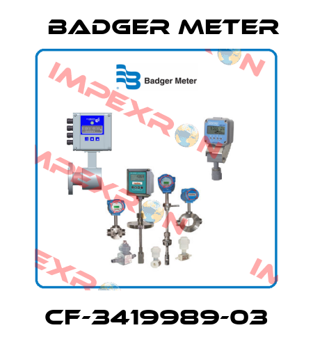 CF-3419989-03 Badger Meter