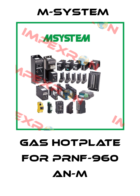 Gas hotplate for PRNF-960 AN-M M-SYSTEM