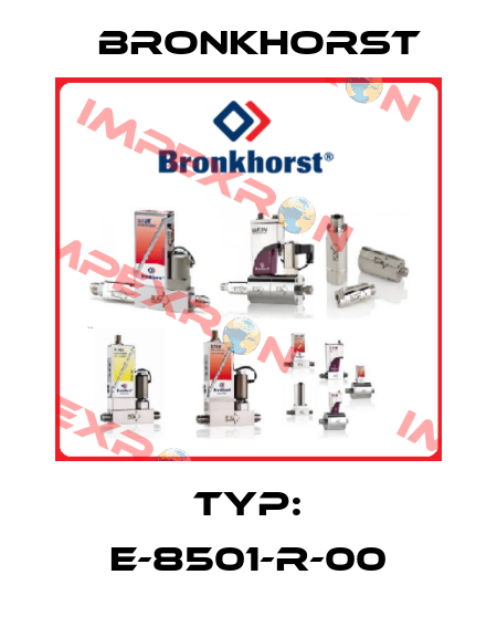 Typ: E-8501-R-00 Bronkhorst