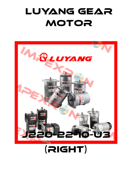 J220-22-10-U3 (right) Luyang Gear Motor