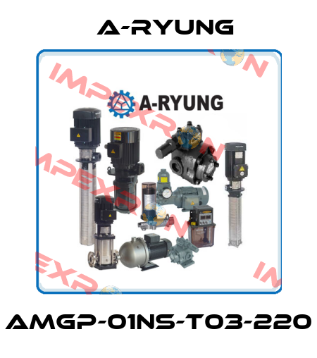 AMGP-01NS-T03-220 A-Ryung