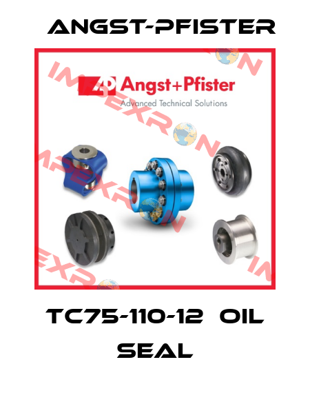 TC75-110-12　Oil seal Angst-Pfister