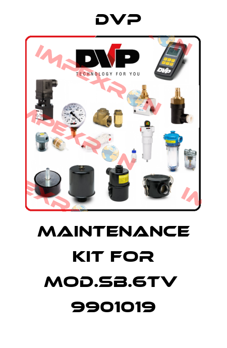 maintenance kit for Mod.SB.6TV  9901019 DVP