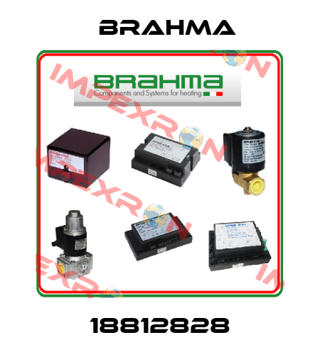 18812828 Brahma