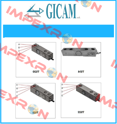 S/N: 2021/0019 Gicam