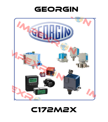 C172M2X Georgin