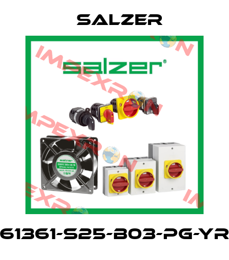 61361-S25-B03-PG-YR Salzer