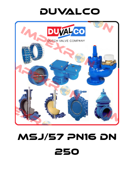 MSJ/57 PN16 DN 250 Duvalco