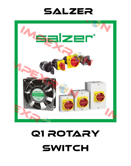 Q1 rotary switch Salzer