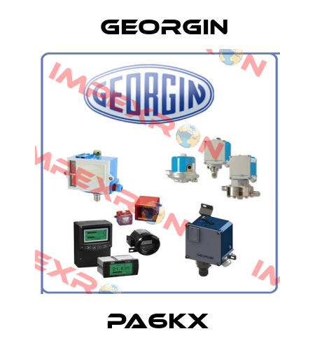 PA6KX Georgin