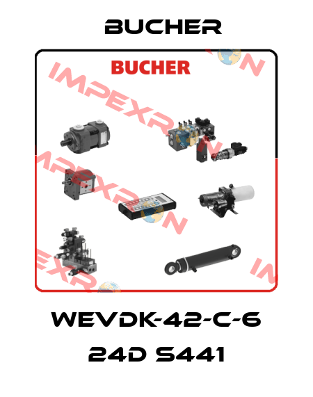 WEVDK-42-C-6 24D S441 Bucher
