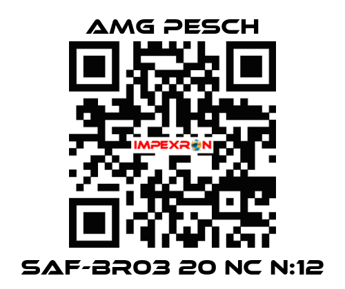 SAF-BR03 20 NC n:12 AMG Pesch