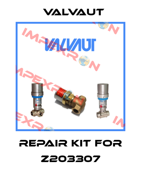 repair kit for Z203307 Valvaut