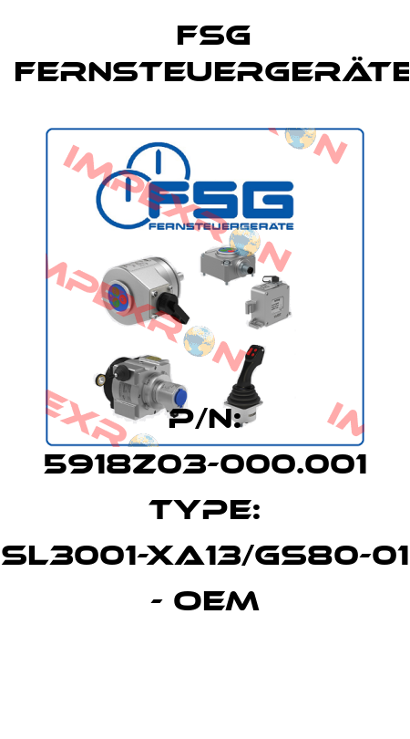 P/N: 5918Z03-000.001 Type: SL3001-XA13/GS80-01 - OEM FSG Fernsteuergeräte