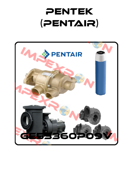GE53360P09V Pentek (Pentair)