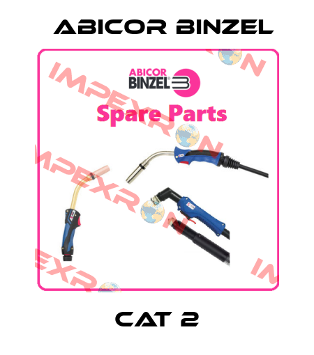 Cat 2 Abicor Binzel