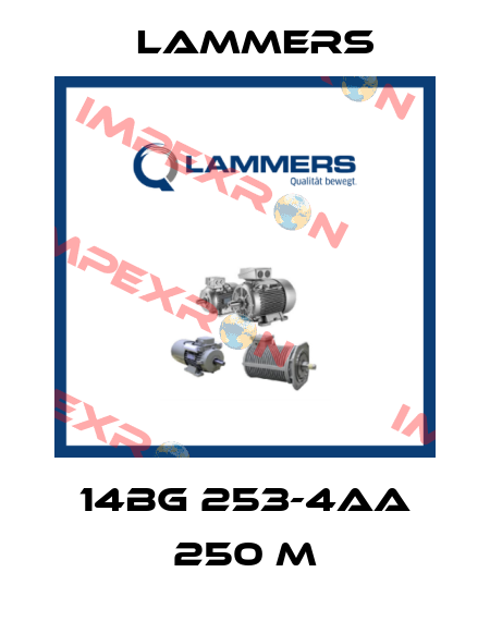 14BG 253-4AA 250 M Lammers