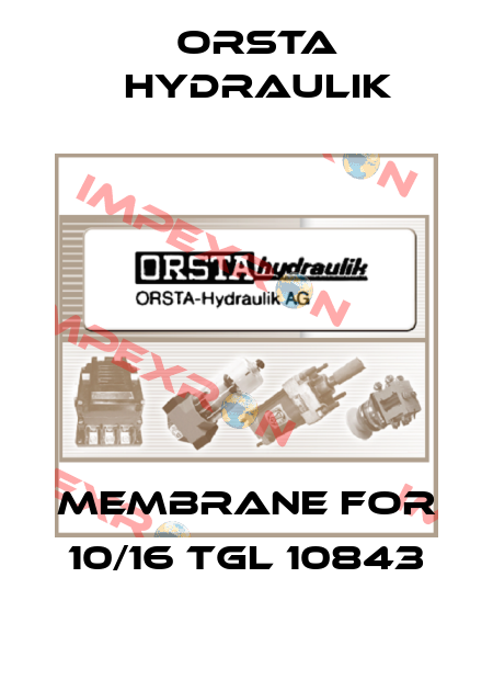 membrane for 10/16 TGL 10843 Orsta Hydraulik