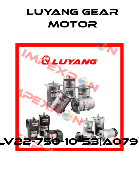 LV22-750-10-S3(A079) Luyang Gear Motor