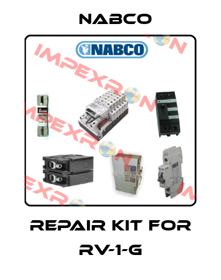 Repair kit for RV-1-G Nabco