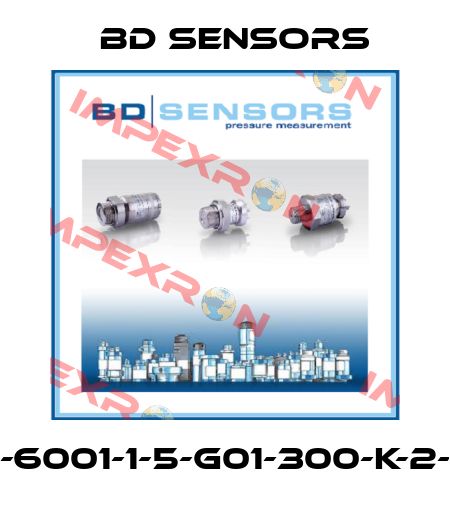 590-6001-1-5-G01-300-K-2-000 Bd Sensors