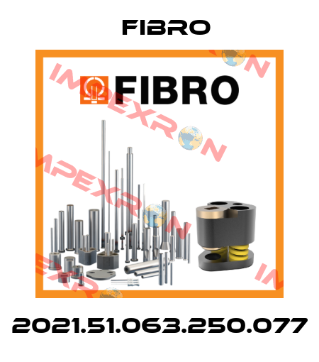 2021.51.063.250.077 Fibro
