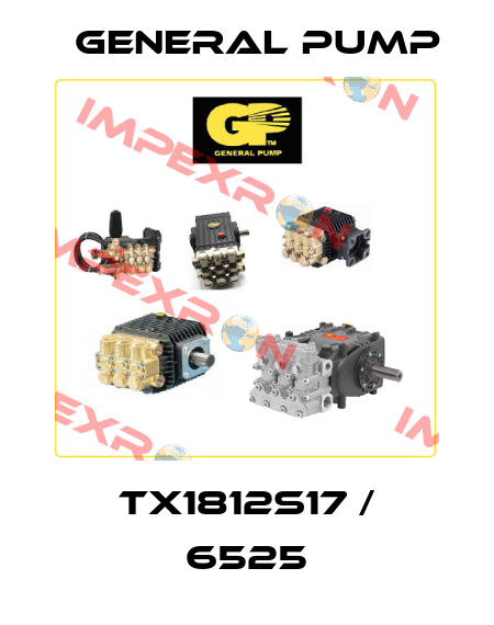 TX1812S17 / 6525 General Pump